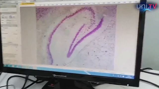 ДЕНЬ ОТКРЫТЫХ ДВЕРЕЙ БАЗОВЫХ КАФЕДР ОИЯИ смотреть онлайн