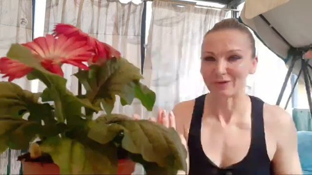 ИТАЛЬЯНКИ/особенности/Olga e Fabio CIAO ITALY. смотреть онлайн