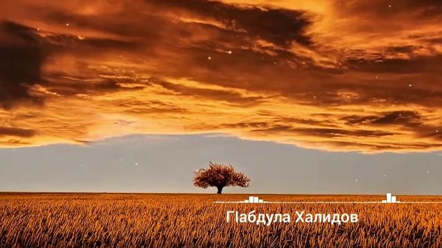 БетӀергьанасда дир гьари смотреть онлайн