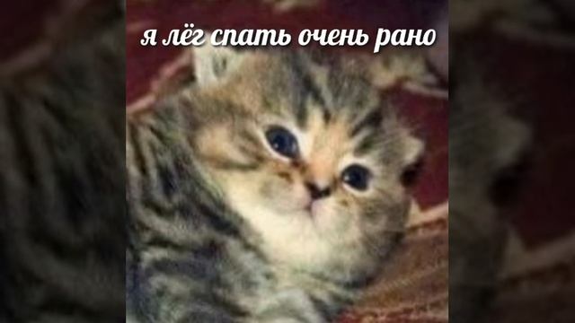вап смотреть онлайн