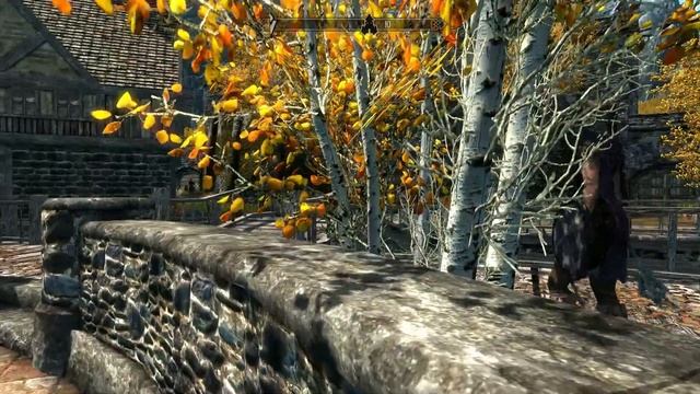 TES Skyrim #29 ► Esbern searches смотреть онлайн