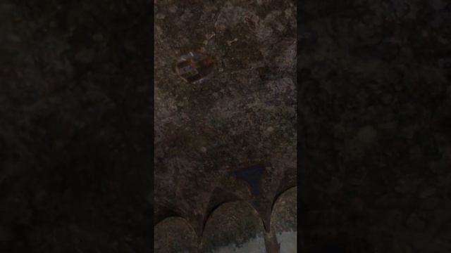 Leonardo Da Vinci mai visto (castello sforzesco milano) смотреть онлайн