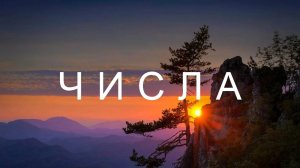 Библия Ветхий Завет - Книга Числа