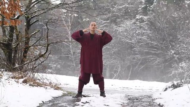 Shaolin Qi Gong 20 Minute Daily Morning Routine Ba Duan Jin (Complete Form) смотреть онлайн
