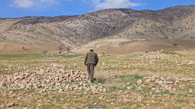 A Desperate Bid: Ruhollah's Quest for Survival in Nomadic Life 🌄🚶 смотреть онлайн