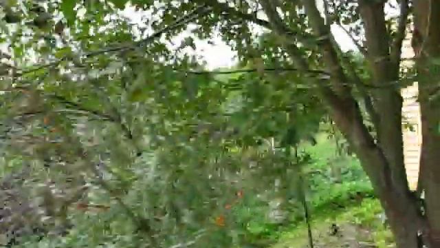 Строительство дачи по Калужскому, Киевскому ш. Gendacha.ru +7 495 660-83-34 смотреть онлайн