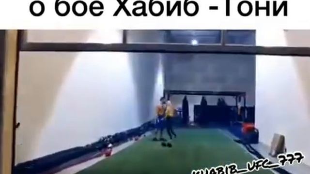 Лобов о бое с Хабибом смотреть онлайн