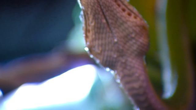 PREPARE_5_Culture Video_08 смотреть онлайн