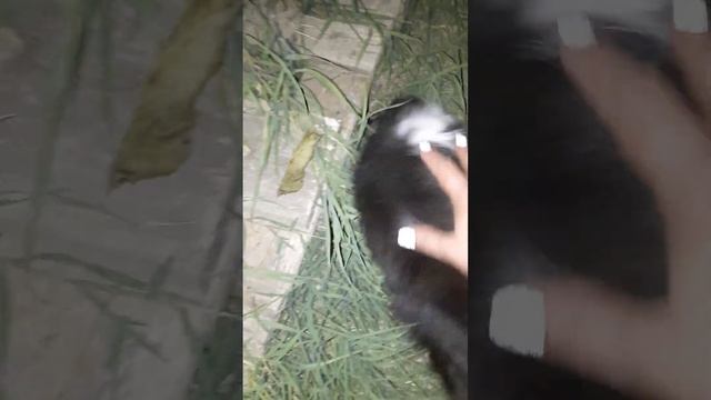 22 июня 2023 г. смотреть онлайн