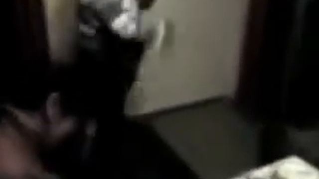 Видео приколы как пьяная парочка танцует смотреть онлайн