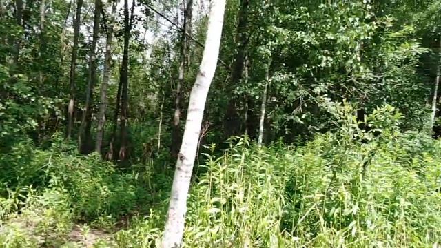 Наша база. смотреть онлайн