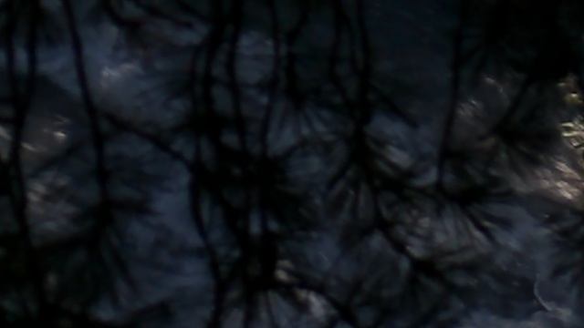 DSCN1355Северная осетия Дигория