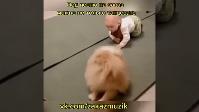 песня на заказ