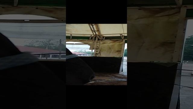 с конём под проливным дождём..
_20230626_163139 смотреть онлайн