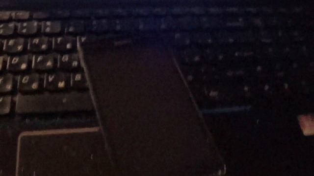 Кал-шоу "Сэйдиснилю" смотреть онлайн