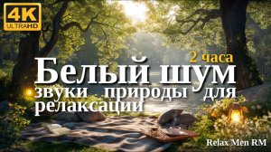 4К Расслабляющие звуки природы, пение птиц и тихое течение реки | Белый шум воды