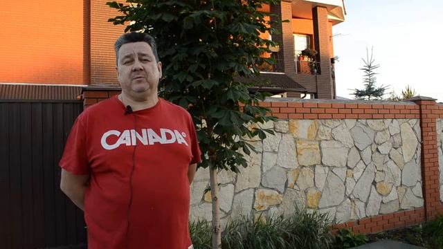 Отзыв о компании смотреть онлайн