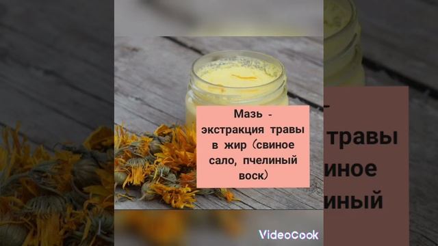 СПОСОБЫ использования лекарственных растений смотреть онлайн