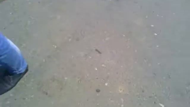 Сходка BPAN44rus Кострома смотреть онлайн