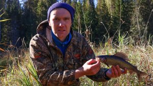 Рыбалка на хариуса. Нашел омут забитый рыбой.