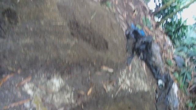 Cara memberimakan cacing lumbricus.cara merawat cacing tanah agar tidak mati смотреть онлайн