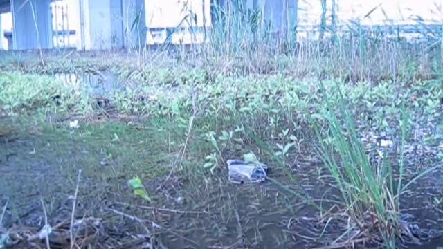 Rc Trophy- Газ 66 смотреть онлайн