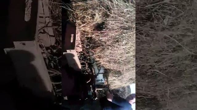 Юмз на разгрузке сена смотреть онлайн