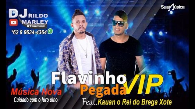 FLAVINHO PEGADA VIP LANÇAMENTO 2020 смотреть онлайн