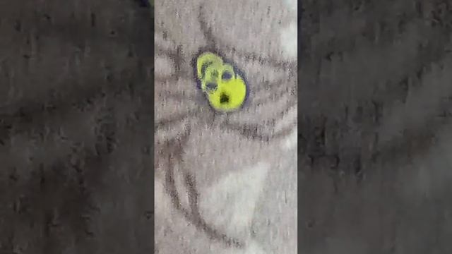 игра. Открой дверь чтобы сбежать от Блю 1 часть смотреть онлайн