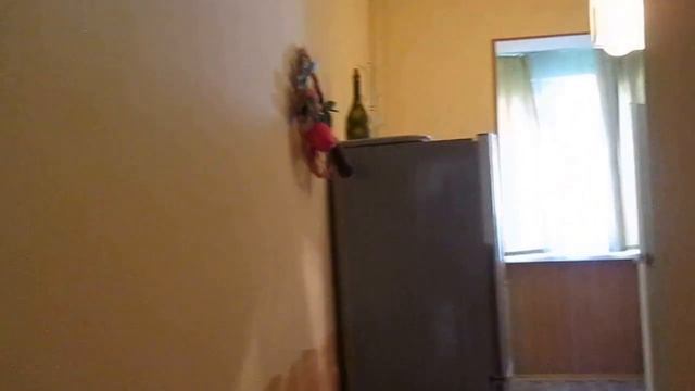 Однокомнатная на Соловьева смотреть онлайн