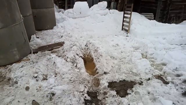 Пришли почти всей деревней посмотреть на это диво. Внимание, разговорный матерный. смотреть онлайн