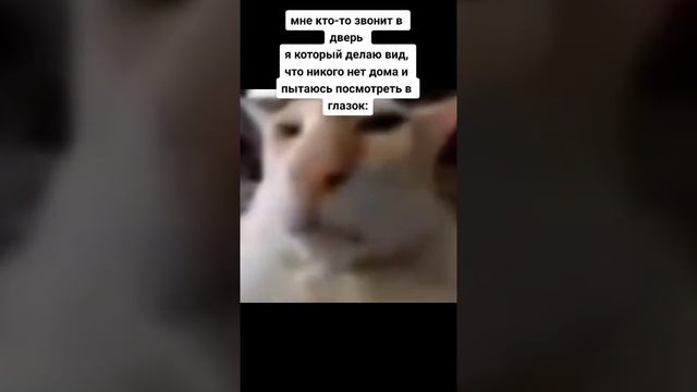 мне кто-то звонит в дверь я который делаю вид,что дома никого нет смотреть онлайн