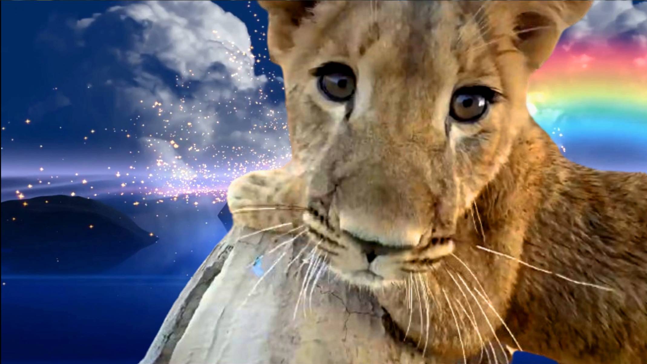 Видео памяти львички Асады. смотреть онлайн