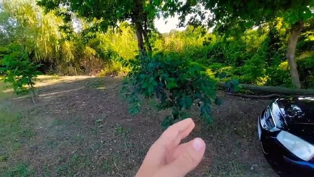Дом где я вырос ! Родные стены. смотреть онлайн