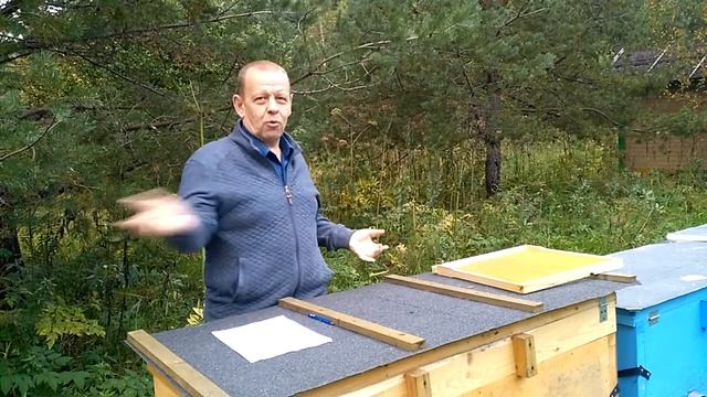 Добрые спокойные пчёлы в Владимирских лежаках смотреть онлайн