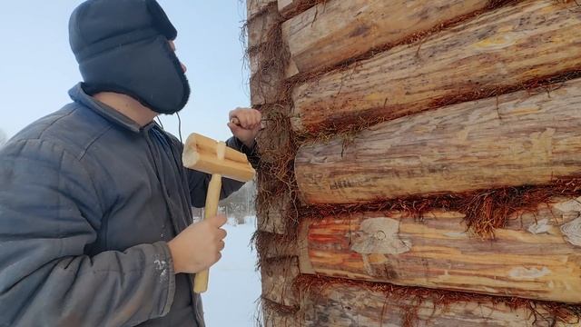 Конопатка сруба мхом смотреть онлайн