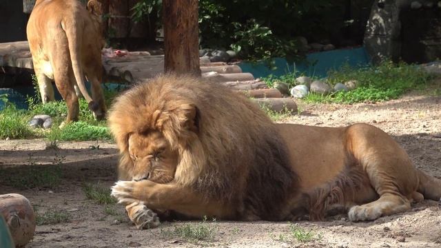 Сэм и Найтирия 05 08 2021 смотреть онлайн