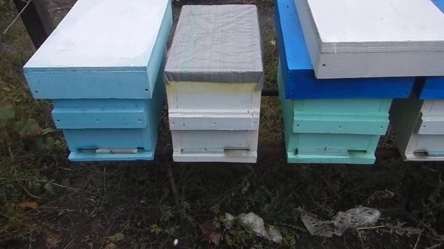 Шестирамочник из эппс обьективно и честно 1 часть смотреть онлайн