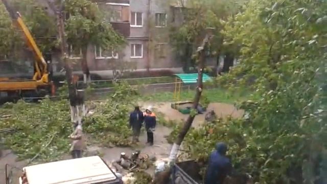 Рубка деревьев во дворе дома по улице Пушкина смотреть онлайн
