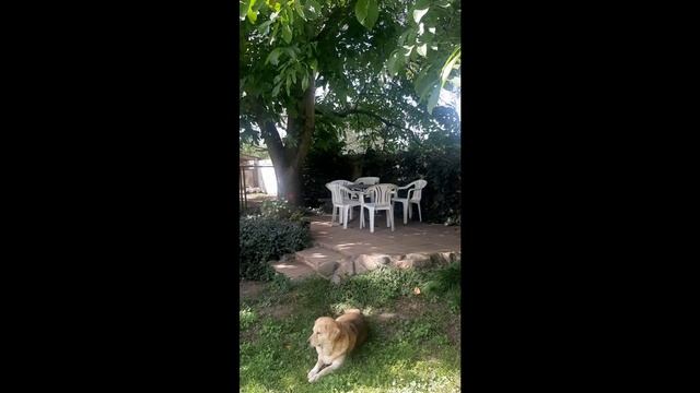 Деревня в Германии Контейнеры для сбора дождевой воды, монтаж душевой кабинки Wassertank Duschkabin смотреть онлайн