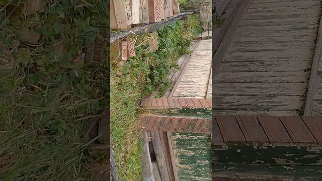 плочевный дом и его надо поднять смотреть онлайн
