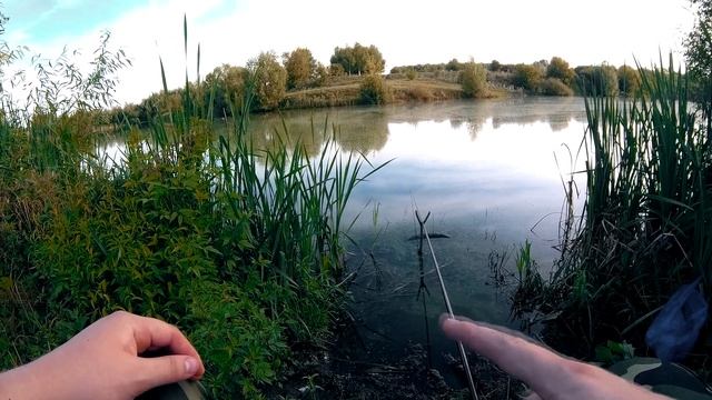 В ПОИСКАХ КАРАСЯ НА НОВОМ ВОДОЁМЕ! ЛОВЛЯ РАКОВ! ЛЕТНЯЯ РЫБАЛКА 2021 смотреть онлайн