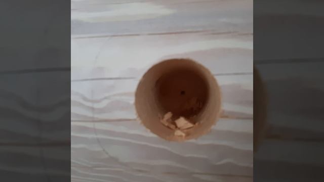 Скрытая электропроводка в деревянном доме. смотреть онлайн