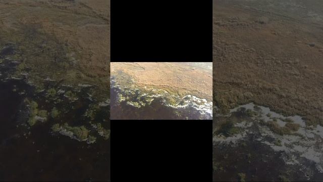 Оз Большое Камышное смотреть онлайн