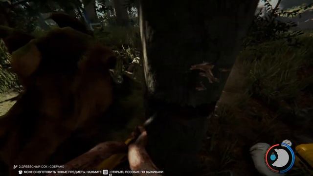 The Forest №1 Как открыть консоль??? Решение в этом видео! смотреть онлайн