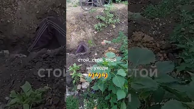 стой не уходи😁😁😁 смотреть онлайн