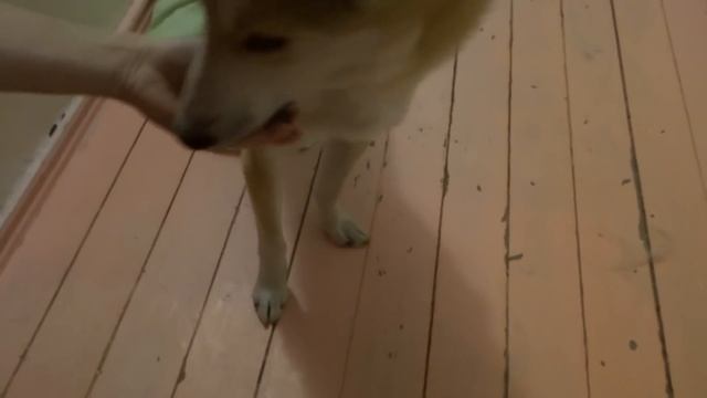 Угадал/Хитрость лайки) смотреть онлайн