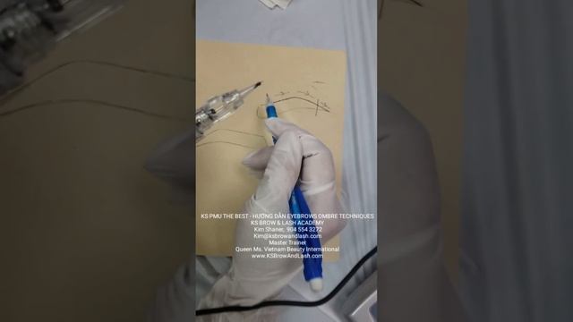 HƯỚNG DẪN XĂM PHUN OMBRE TECHNIQUES THE BEST BY KIM SHANER смотреть онлайн
