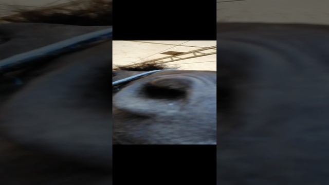 дождь 20230626_163225 смотреть онлайн