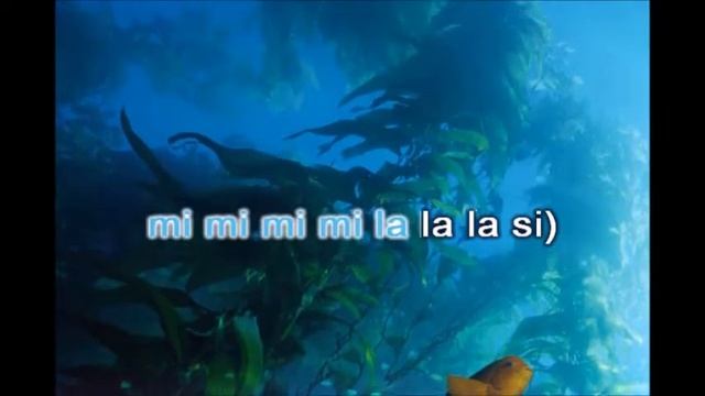 SE BRUCIASSE LA CITTA' ADATTAMENTO PER FLAUTO DOLCE E CANTO DI FRANCESCO CIOFFI смотреть онлайн